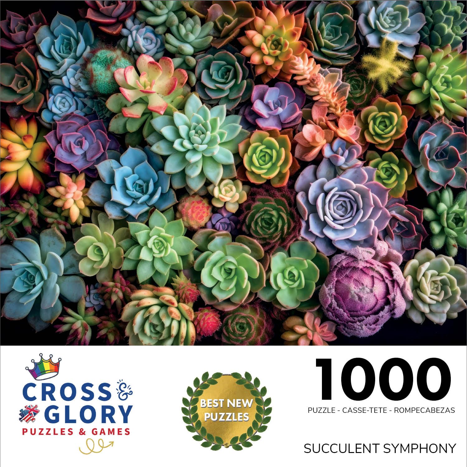 Cross and Glory Succulent Symphony colorful artwork brightens shelves and inspires weekend puzzle sessions.