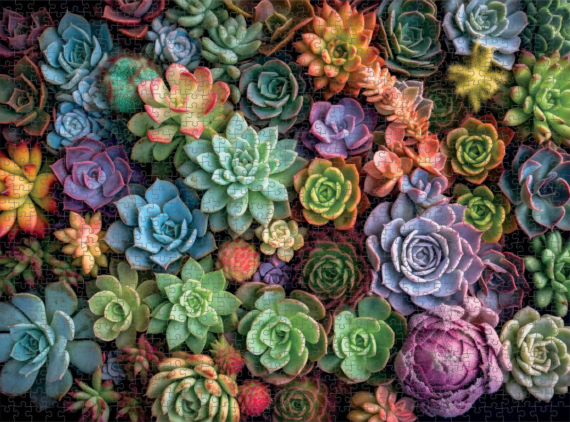 Cross and Glory Succulent Symphony completed wall art ready for display.