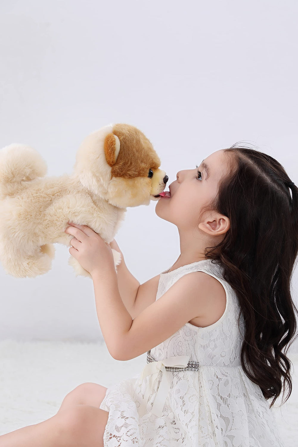 CU-MATE gift-packaged Pomeranian stuffed dog, perfect for celebrations and gifting.