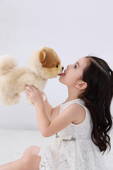 CU-MATE gift-packaged Pomeranian stuffed dog, perfect for celebrations and gifting.