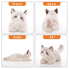 CU-MATE Ragdoll cat face closeup shows detailed eyes and whiskers for realism.