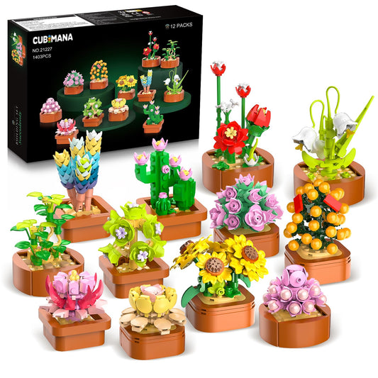 CUBIMANA 12-pack flowers succulents mini set for vibrant home display