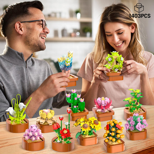CUBIMANA build-your-own succulents kit with terracotta pot for tabletop decor