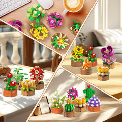 CUBIMANA desk-top nature ornament adds color to workspaces.