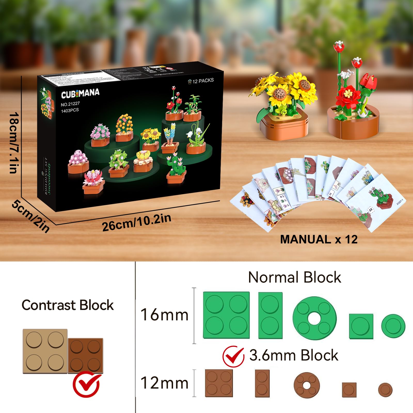CUBIMANA detailed succulent display suitable for desk and workspace