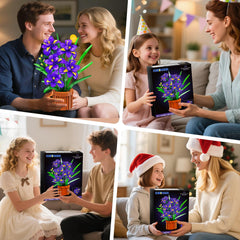 CUBIMANA iris-building gift idea for loved ones and plant lovers