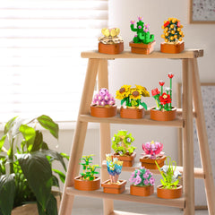 CUBIMANA lifelike succulent display for office or living room ambiance