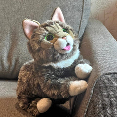 Lil Bub 10-inch size plush by Cuddle Barn, compact for shelves.