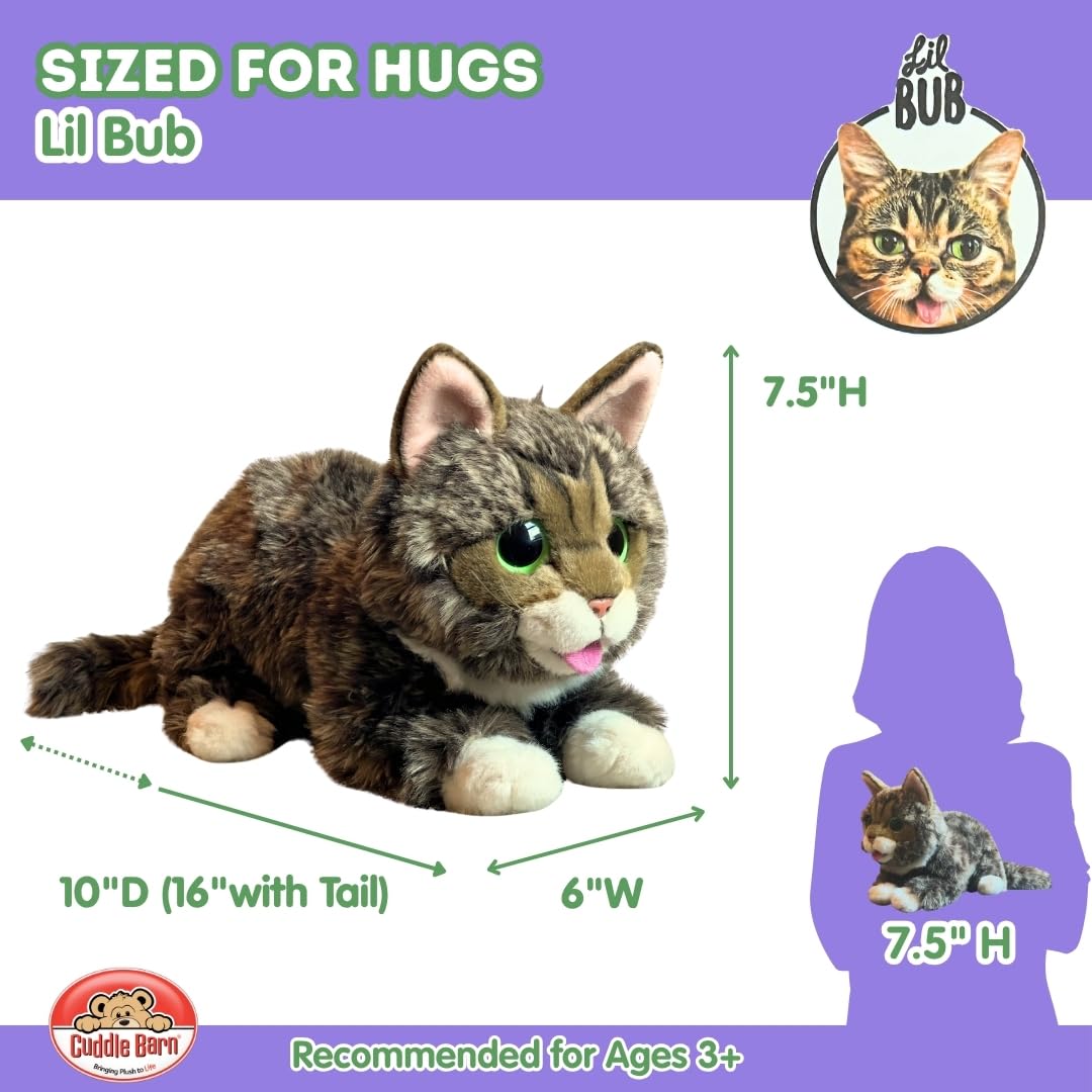 Lil Bub closeup face plush from Cuddle Barn, soft materials for soothing play.