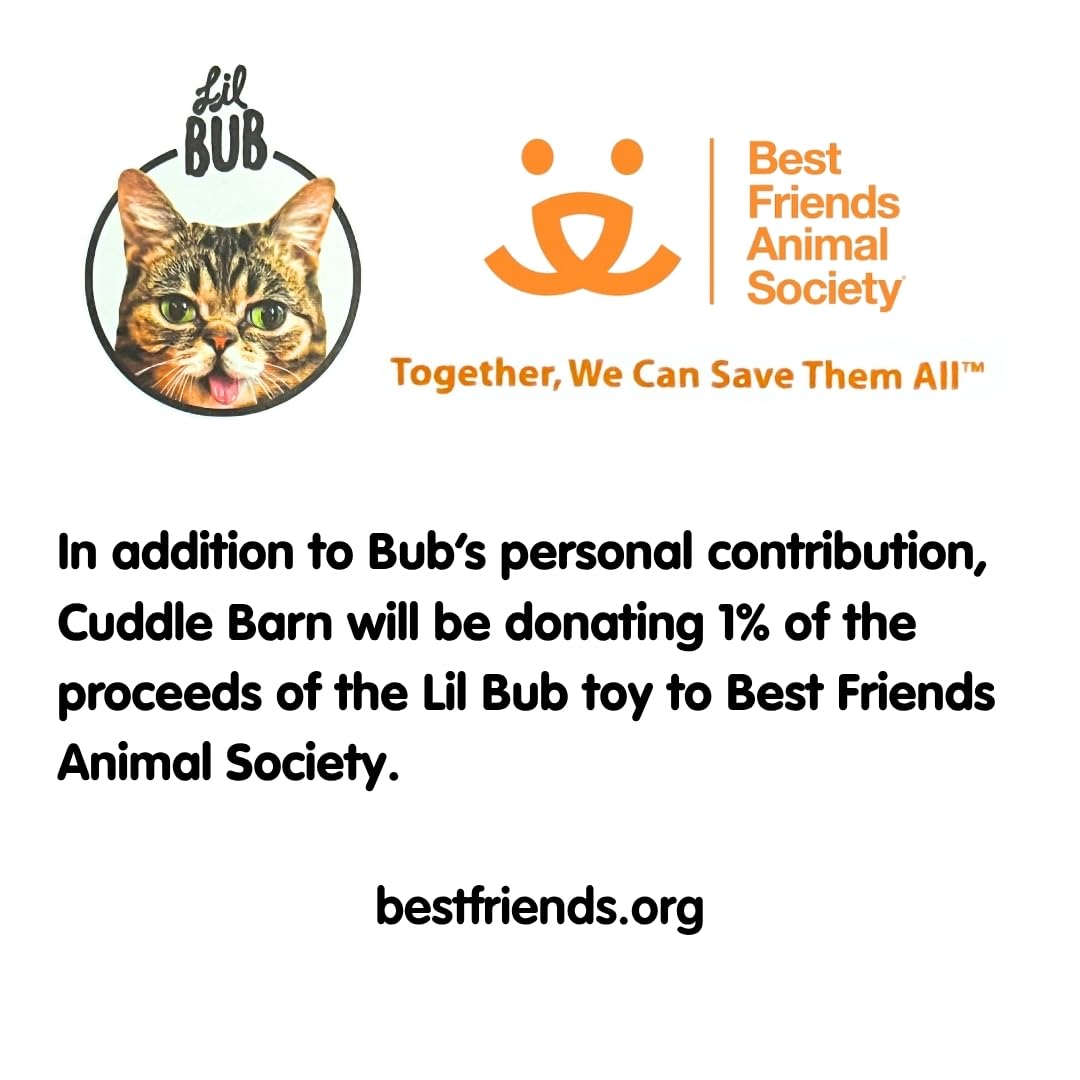 Gift-ready Lil Bub plush by Cuddle Barn, ideal present for fans and collectors.