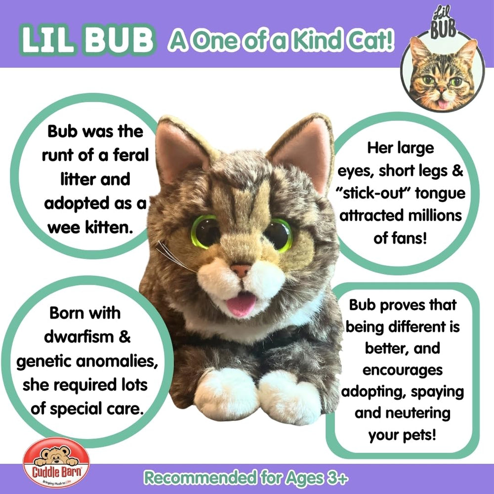 Lil Bub sitting plush from Cuddle Barn, kid-friendly companion for storytelling.
