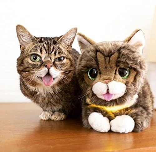 Lil Bub soft-texture plush by Cuddle Barn, easy to spot clean.