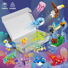 Custoduy durable ABS plastic blocks support screen-free learning