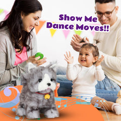 Cuteoy gray cat plush nodding and tail wagging invite interactive play.