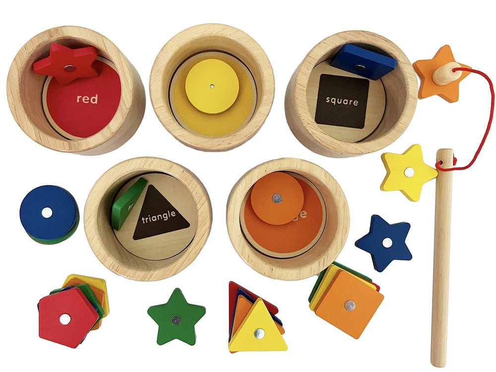 Dailyfunn colorful wood shapes and pieces for sorting and matching.