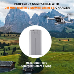 Dalkat Dalee packaging includes one intelligent flight battery for DJI Mini.