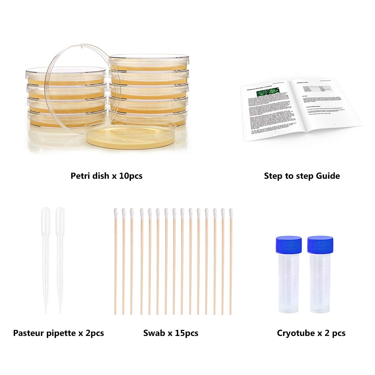 DalosDream plastic droppers for precise liquid handling during activities.
