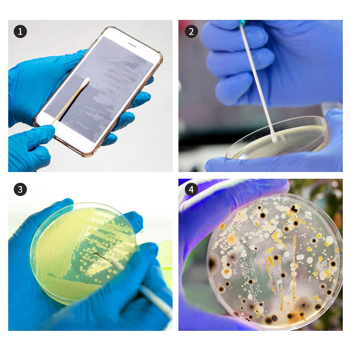 DalosDream sterile cotton swabs ideal for safe sample collection.