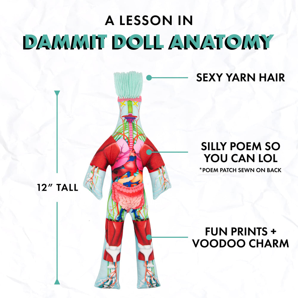 Dammit Doll Anatomy skeletal structures detail enhances display and conversation