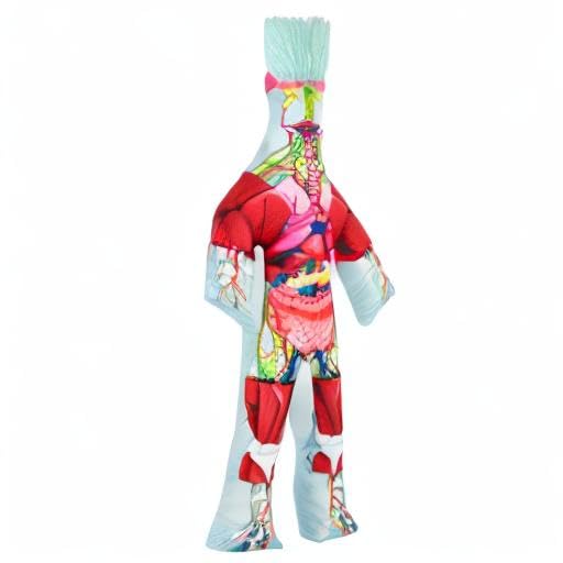 Dammit Doll Anatomy unboxing shot highlights limited edition design