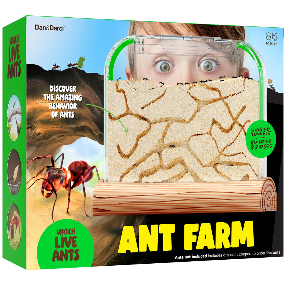 Dan&Darci Ant Farm Kit setup for easy kids' science exploration.