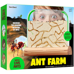 Dan&Darci Ant Farm Kit setup for easy kids' science exploration.