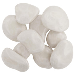 Dan&Darci creative rock designs spark imagination and shareable keepsakes.
