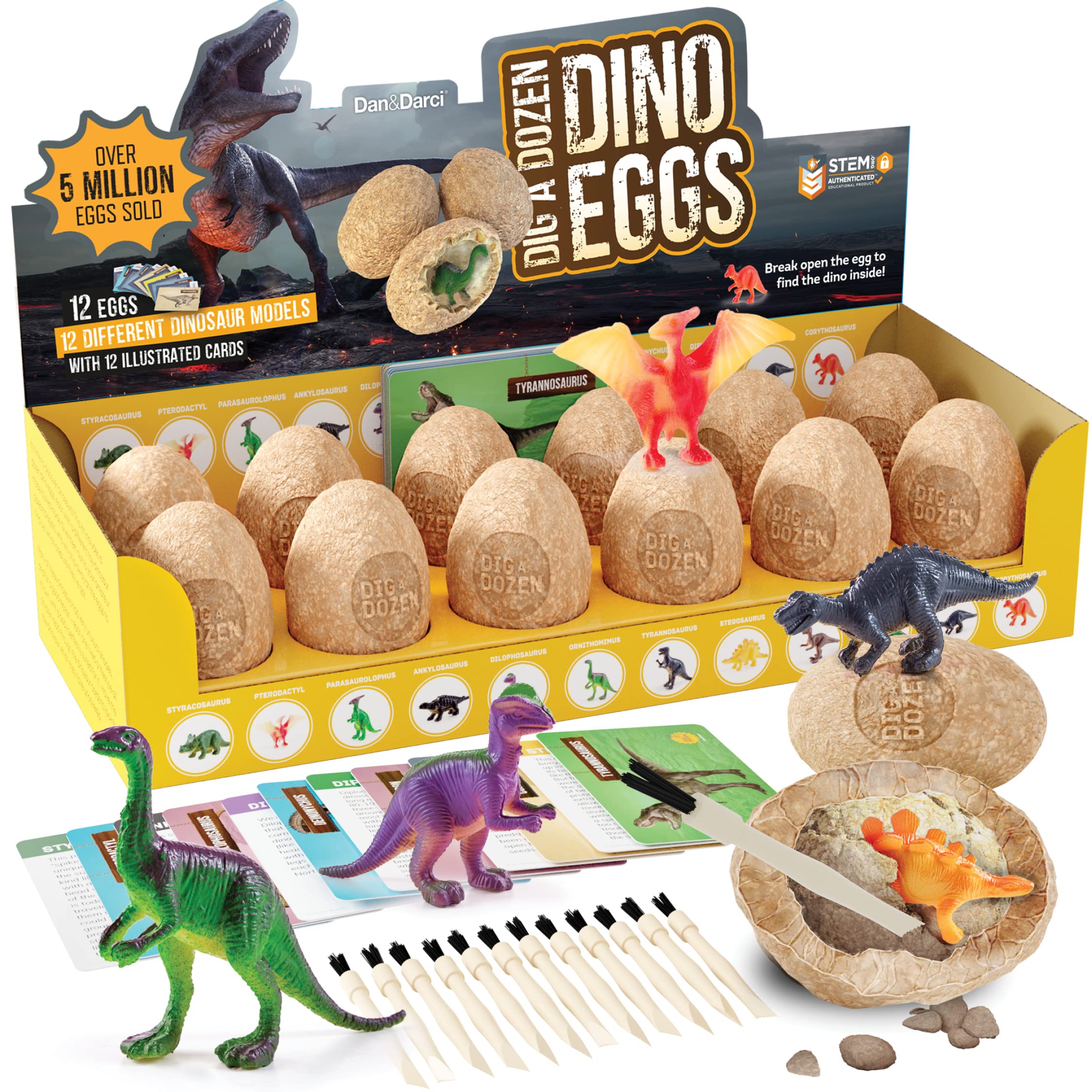 Dan&Darci display box with 12 dino eggs for dig adventures