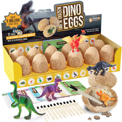 Dan&Darci display box with 12 dino eggs for dig adventures