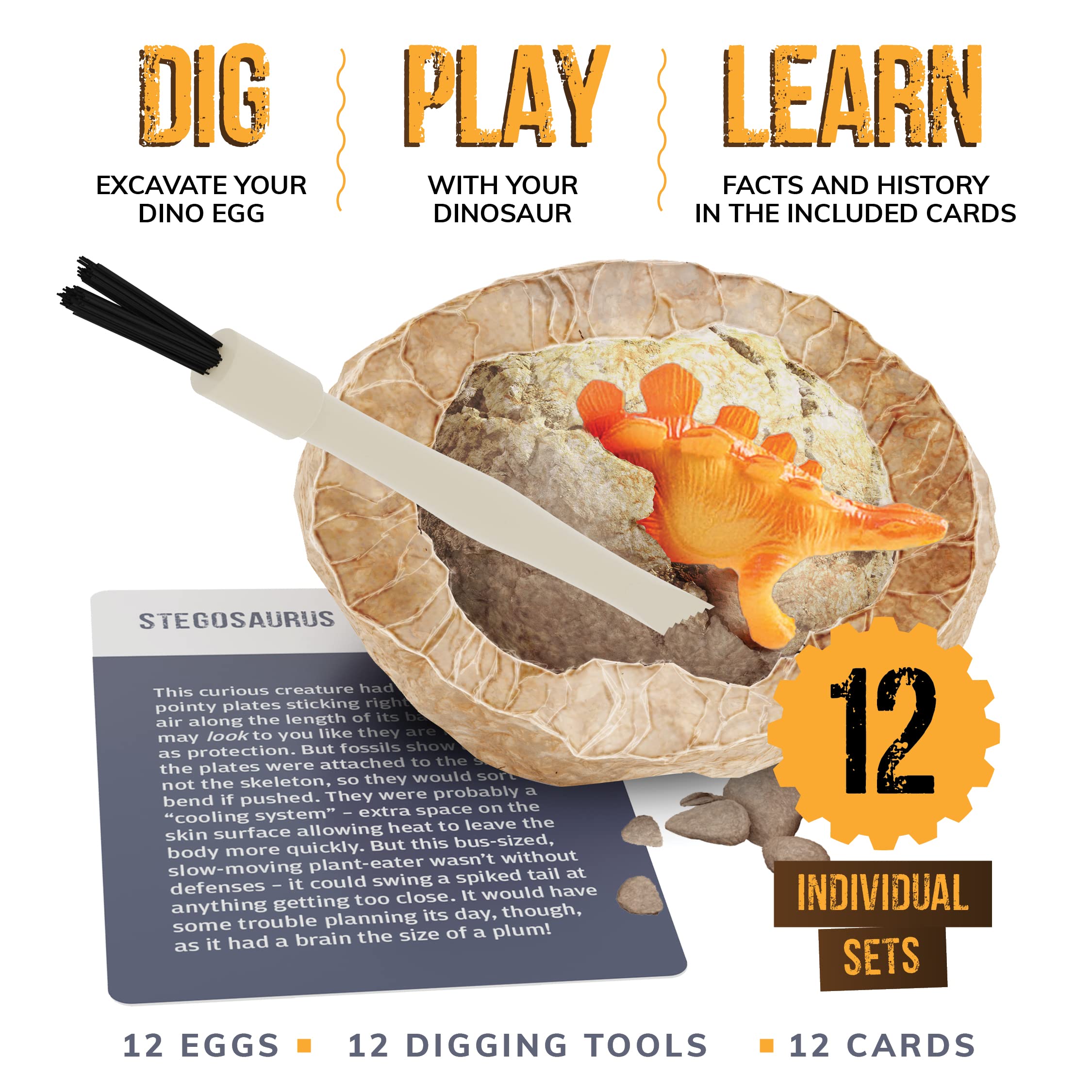 Dan&Darci 12 dino eggs with excavation tools for hands on learning
