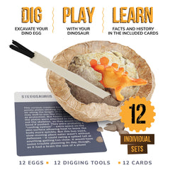 Dan&Darci 12 dino eggs with excavation tools for hands on learning