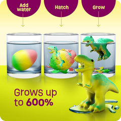 Dan&Darci hatching egg kit shows growth up to 600 percent for discovery