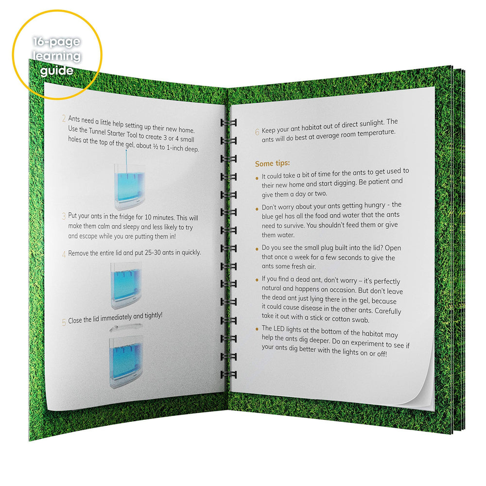 Dan&Darci educational toy inspires science curiosity for kids 6 and up.