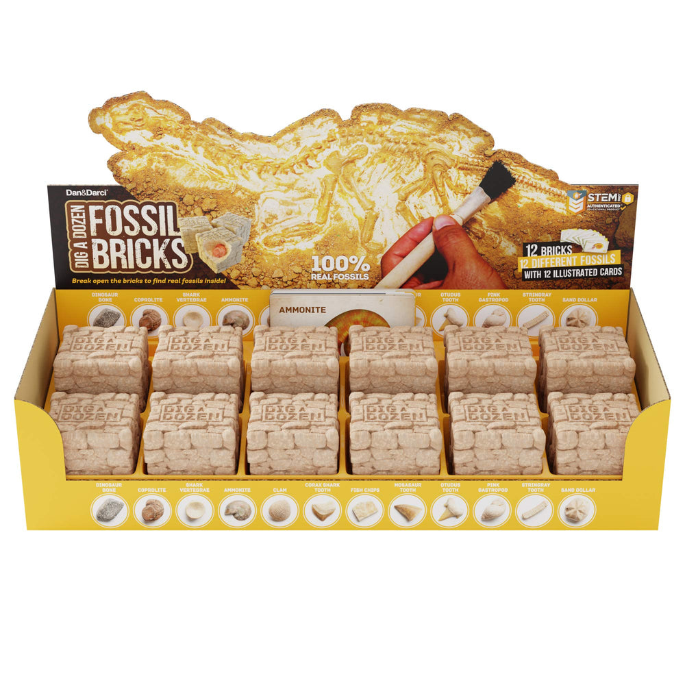 Dan&Darci display box keeps everything organized and ready for gifting.