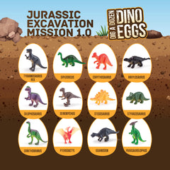 Dan&Darci instruction guides pair with each egg for guided exploration