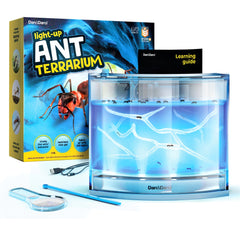 Dan&Darci light-up ant farm terrarium top view for engaging science play and viewing tunnels.