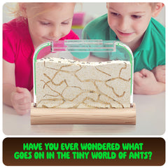 Dan&Darci Nature learning experience sparks curiosity about insects.