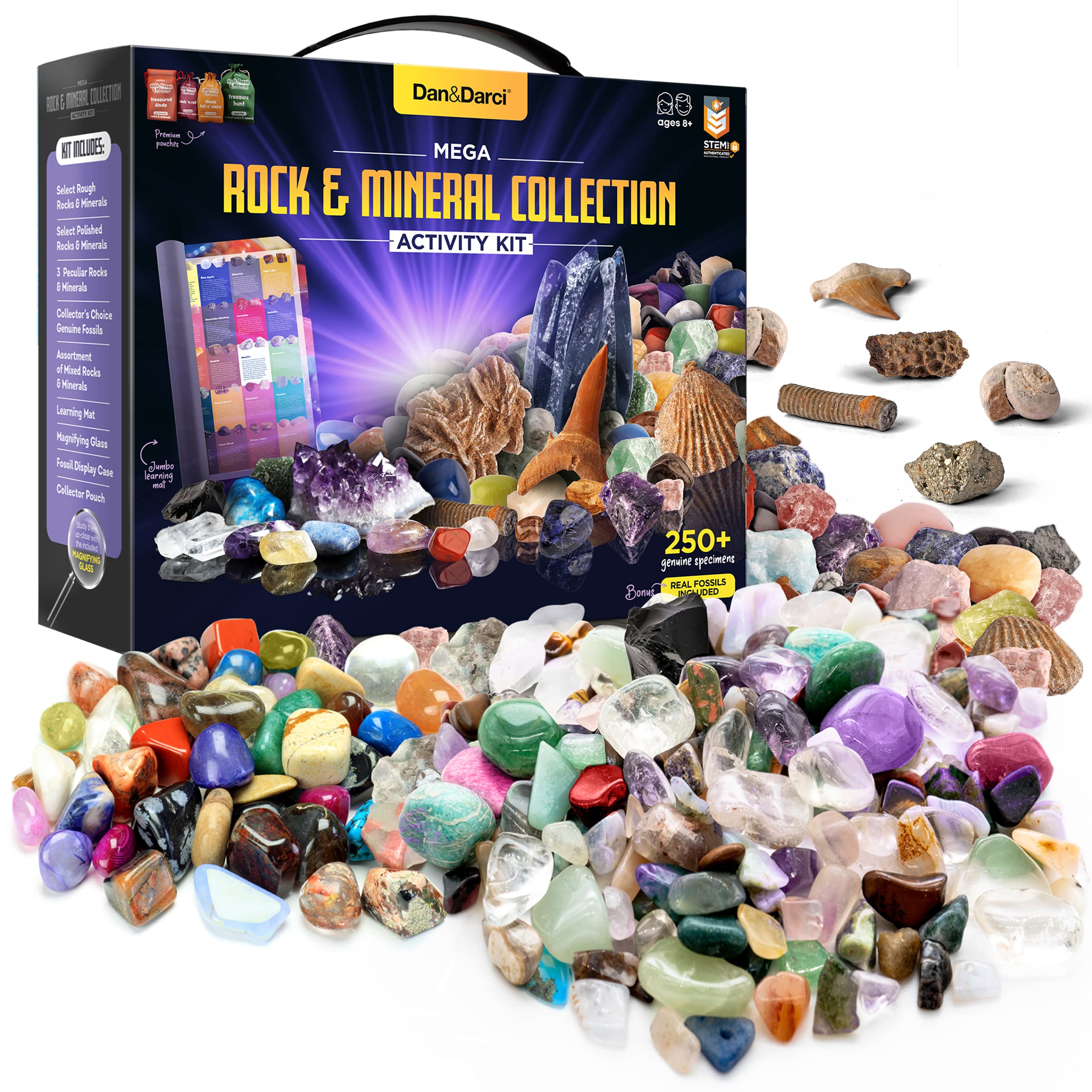 Dan-Darci bulk rock collection for hands-on geology learning.