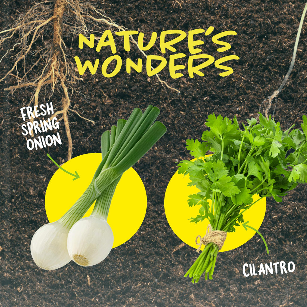 Dan&Darci root-viewer depth-tracking stickers track plant growth over time.