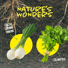 Dan&Darci root-viewer depth-tracking stickers track plant growth over time.