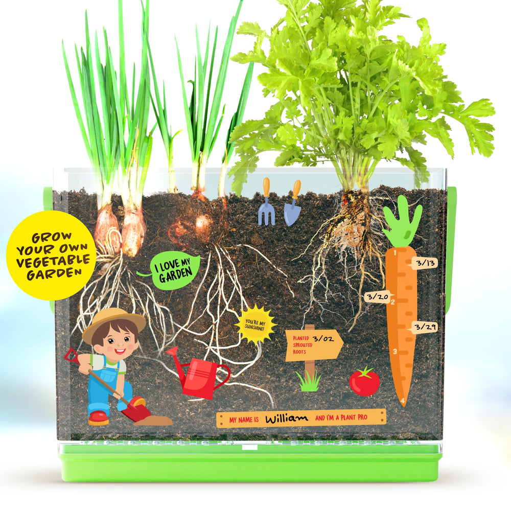 Dan&Darci root-viewer indoor gardening kit makes science accessible indoors.