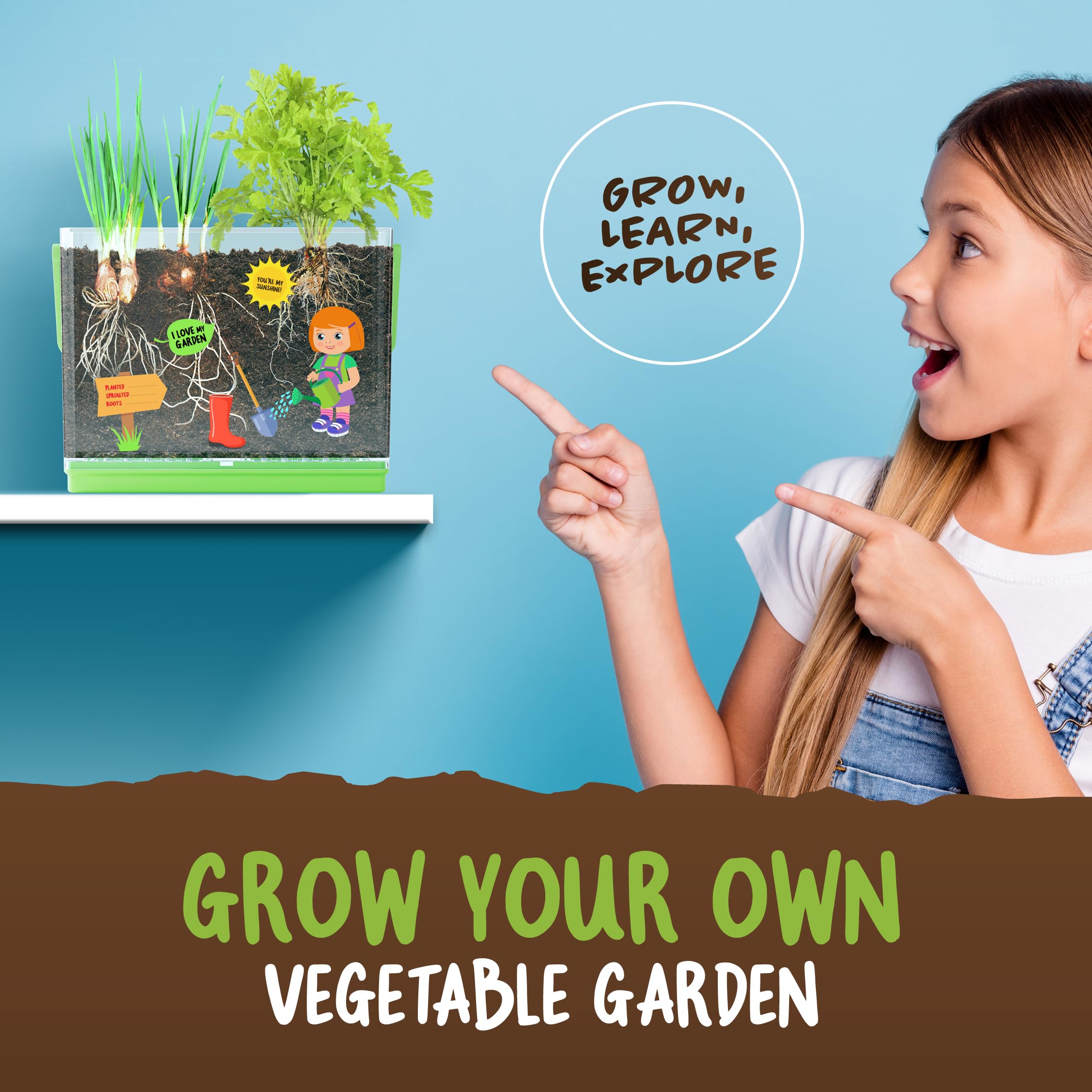 Dan&Darci root-viewer spring onion seeds invite colorful sprouts for curious kids.