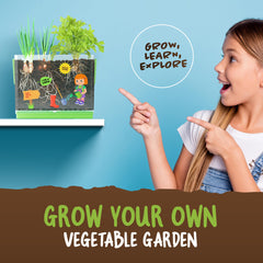 Dan&Darci root-viewer spring onion seeds invite colorful sprouts for curious kids.
