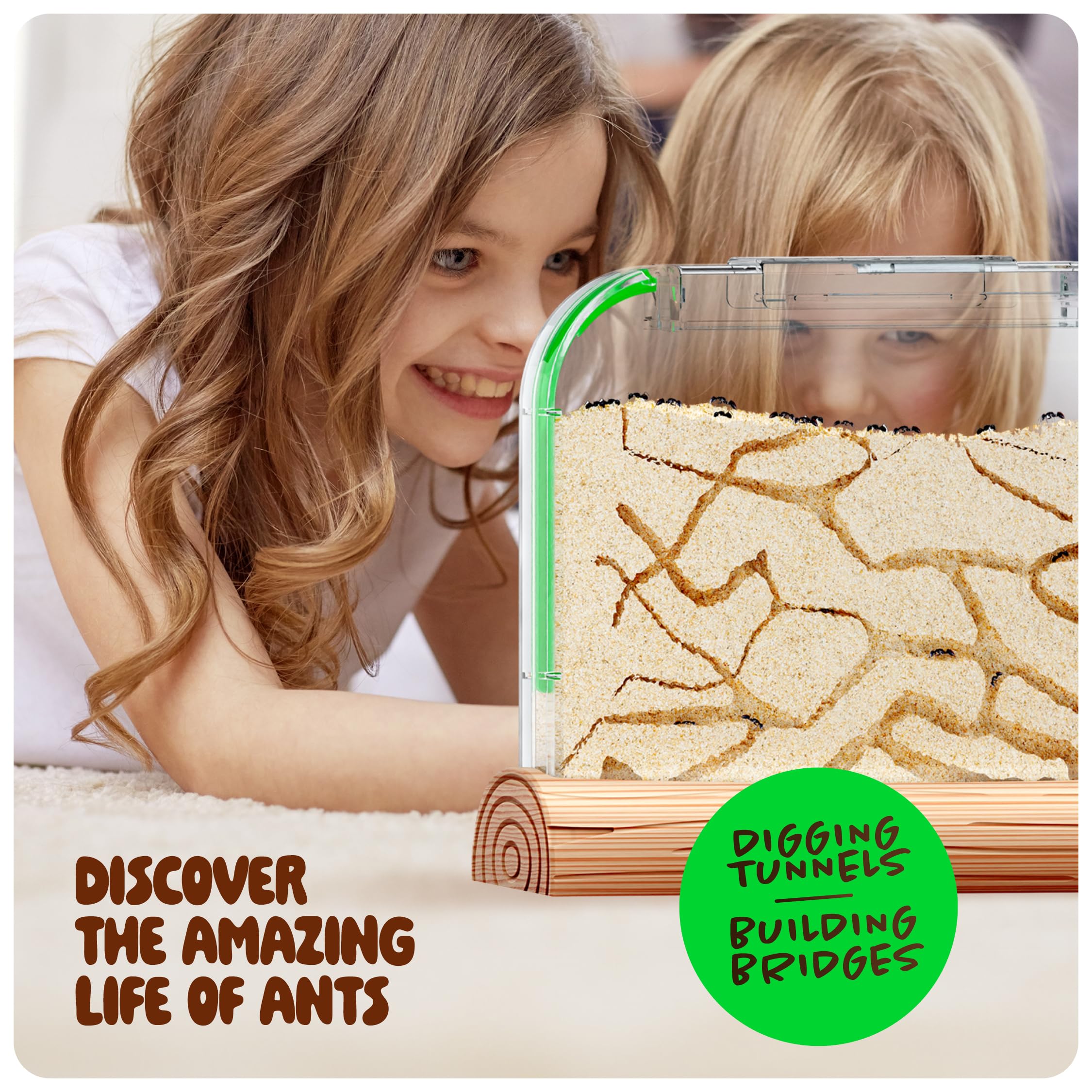 Dan&Darci Sand Habitat close-up showing tunnels and observation.