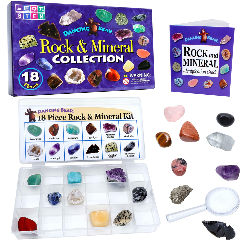 Dancing Bear 18-piece rock collection displayed in a crystal-clear display box for study.