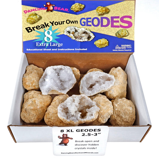 DANCING BEAR 8 XL geodes cracking open to reveal crystals for hands on learning.