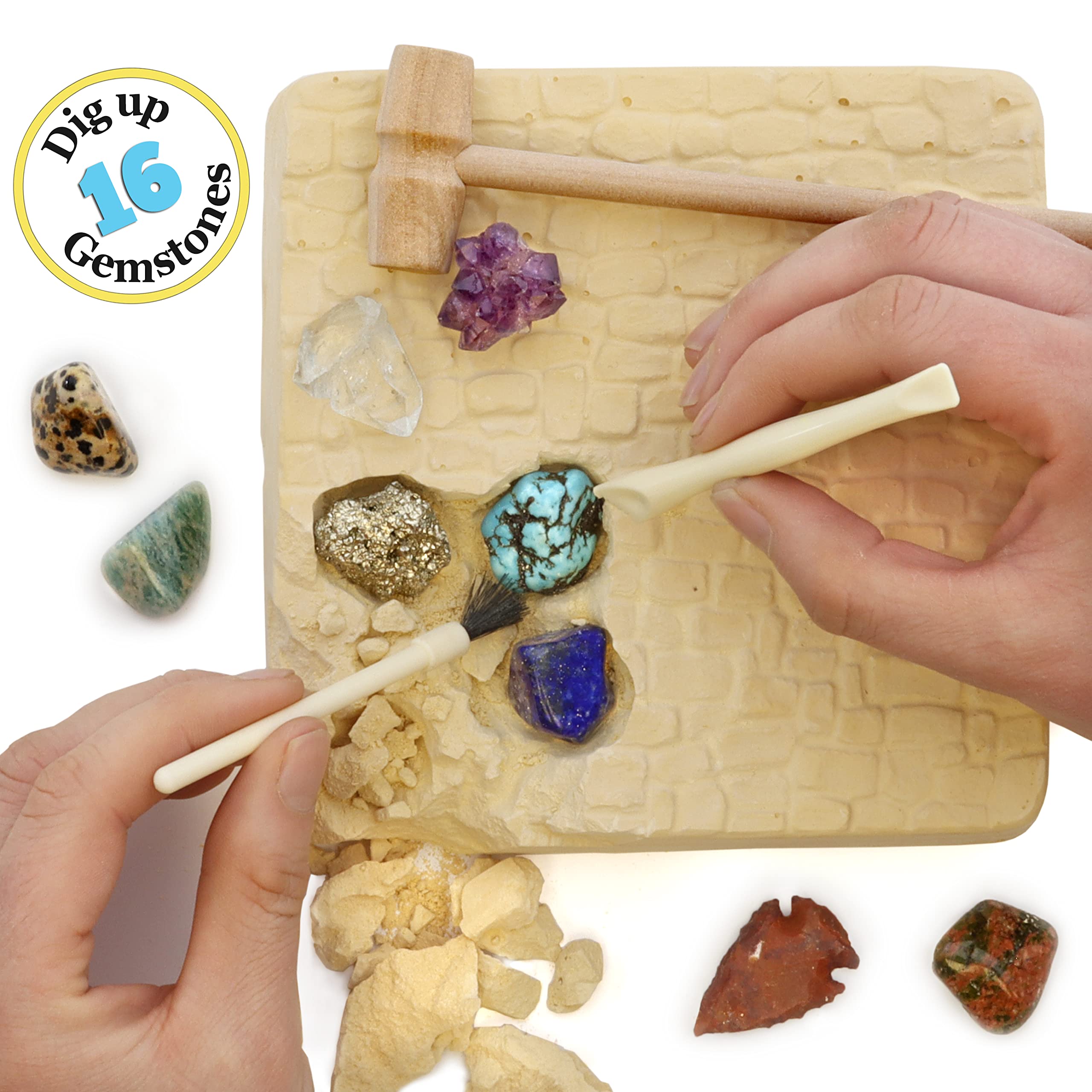 DANCING BEAR dalmatian jasper highlights colorful specimens for discovery.