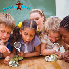 dancing-bear geode-inside-crystal educational-sheet supports guided discovery and learning.