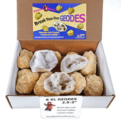DANCING BEAR geode science kit includes instruction sheet for safe cracking and learning.