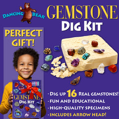 DANCING BEAR learning guide book supports gem facts for beginners.